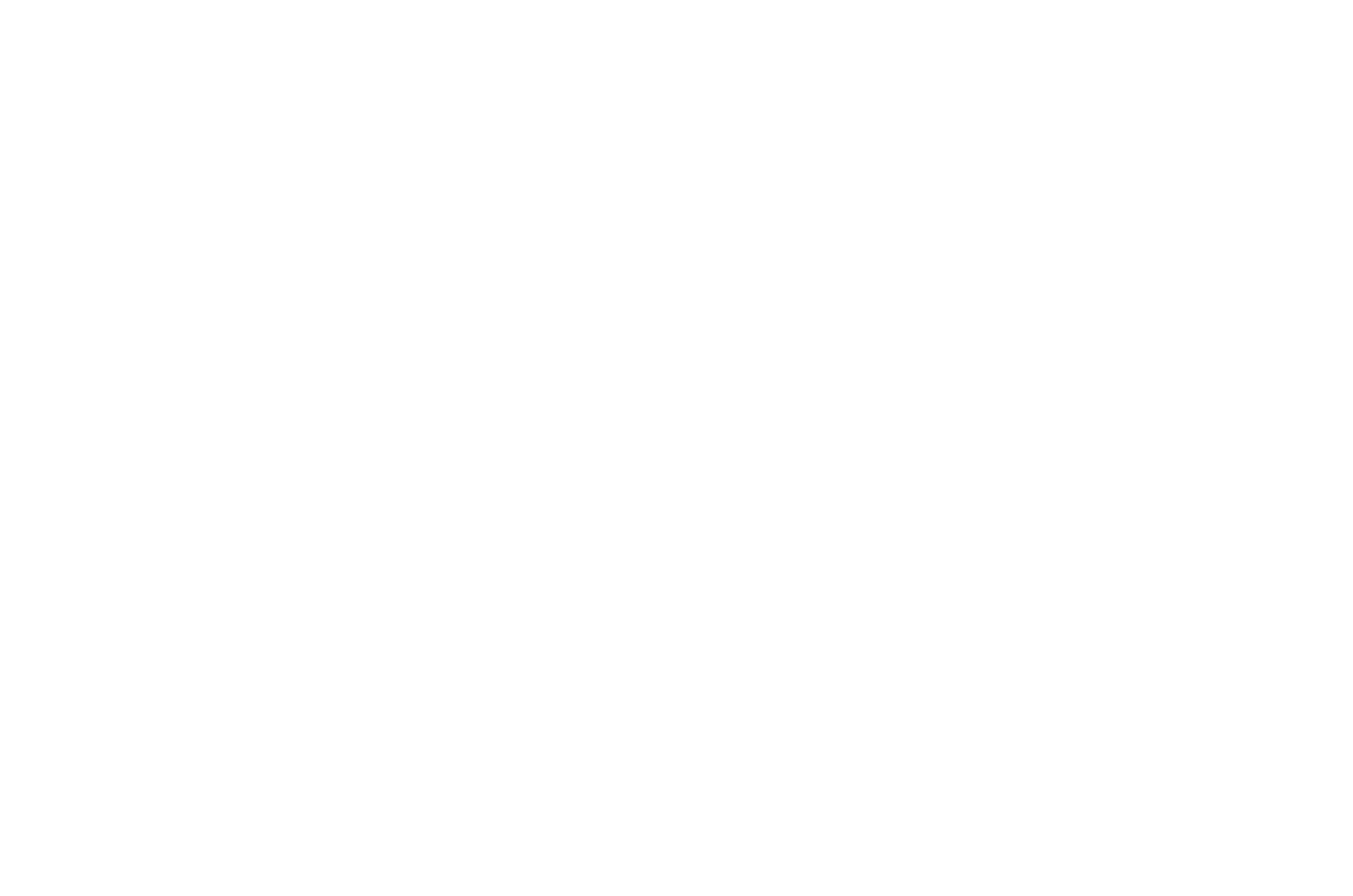 Airplane James logo